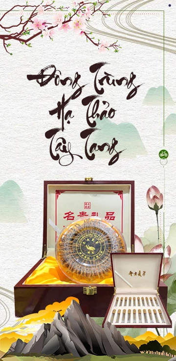 Đông trùng hạ thảo