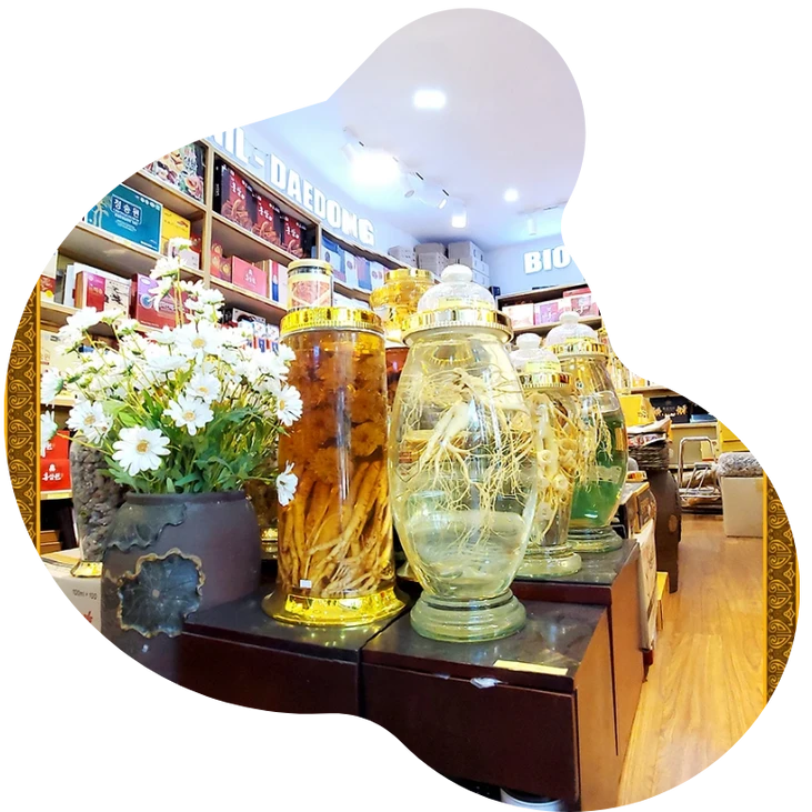 Giới thiệu về TN Việt Nam