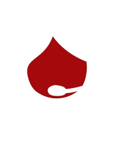 Giới thiệu về TN Việt Nam